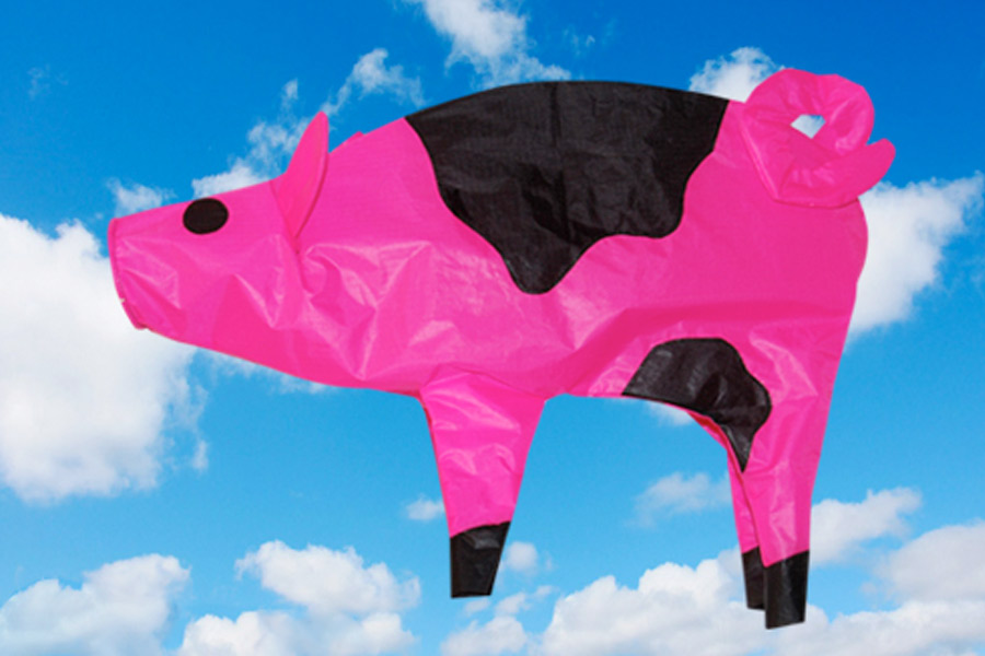 A pink and black pig shaped wind sock