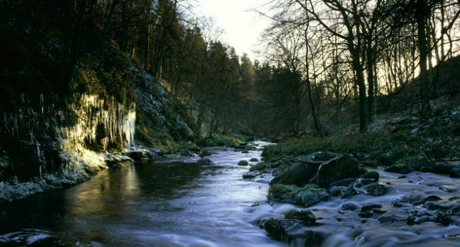 A blue stream with stones and rocks in it, surrounded by green trees.