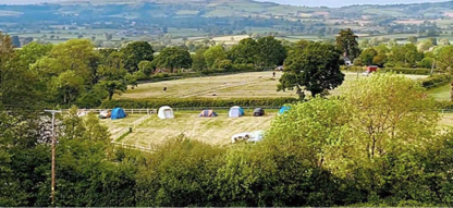 A green field surrounded by green trees with a number of tents in the middle