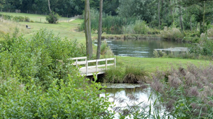 A green field with a small bridge in the middle over a small stream