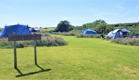 A sign saying 'poppy patch' in a green field with tents in it