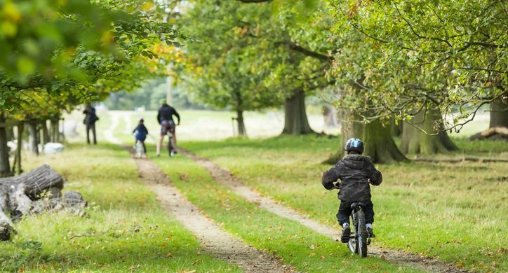 The image is focused on a young boy on a small bicycle, in the distance ahead of him is his mum and dad, and another sibling who is also on a bike. They are on a track surrounded by green grass.