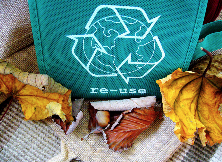 A green recycling bag, printed with the word "re-use", surrounded by leaves. 