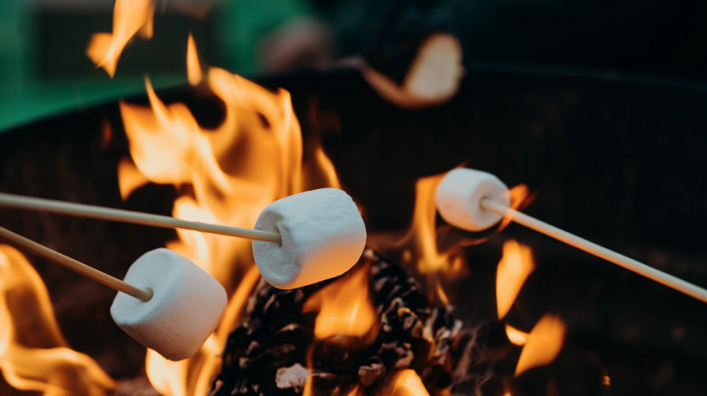 marshmellows on sticks over a campfire 