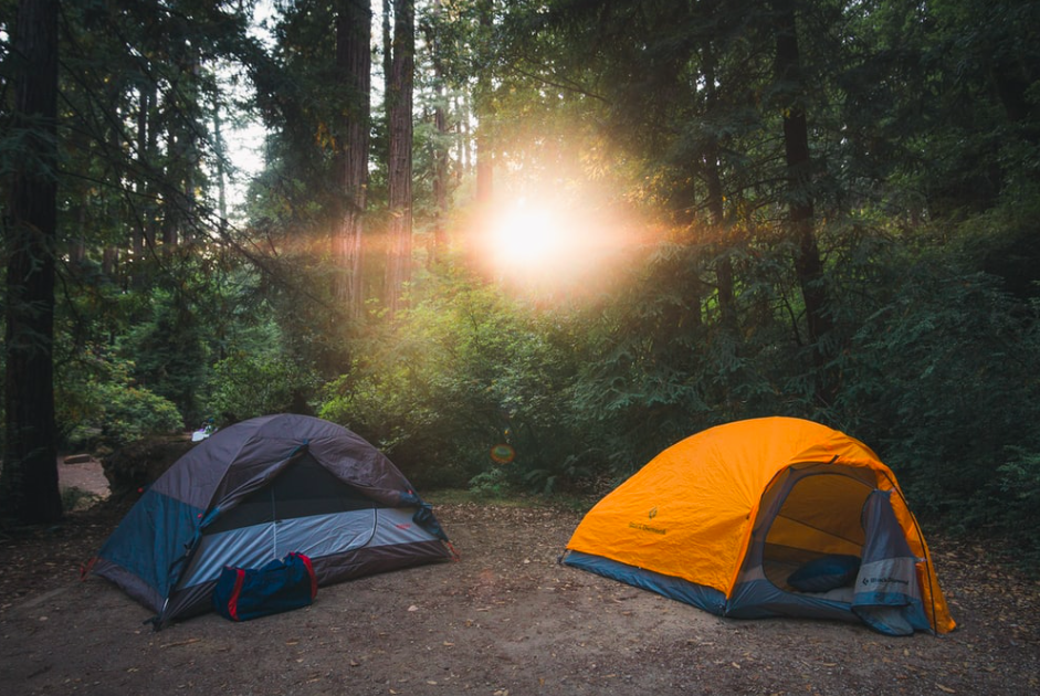 Two tents set up in the woods