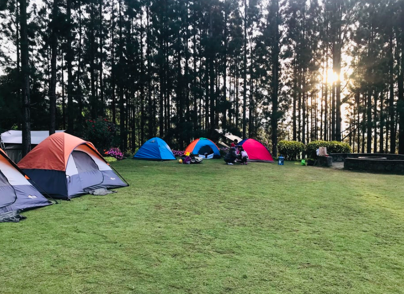 A field with five coloured tents set up inside it.