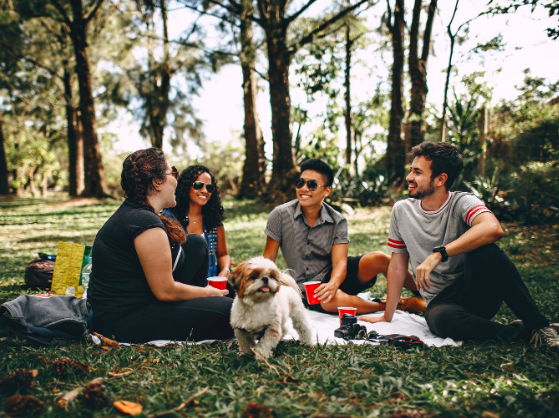 A group of people sat on the grass having a picnic with a small dog infront of them.