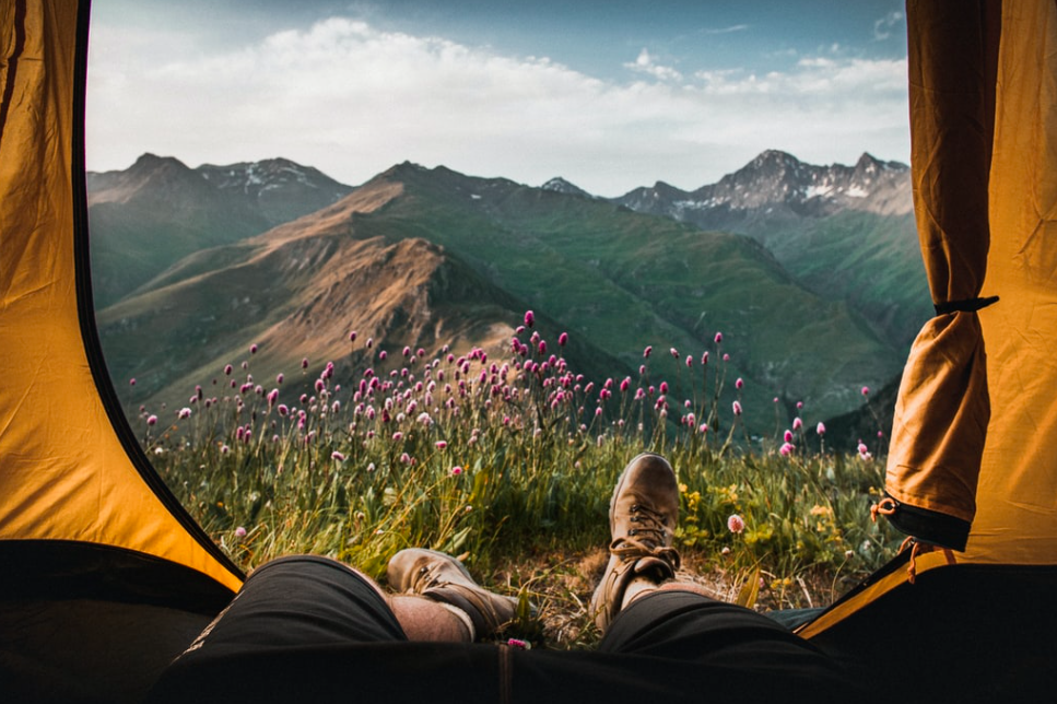 The view out of a tent door, showing grass and purple flowers with a mountain in the distance