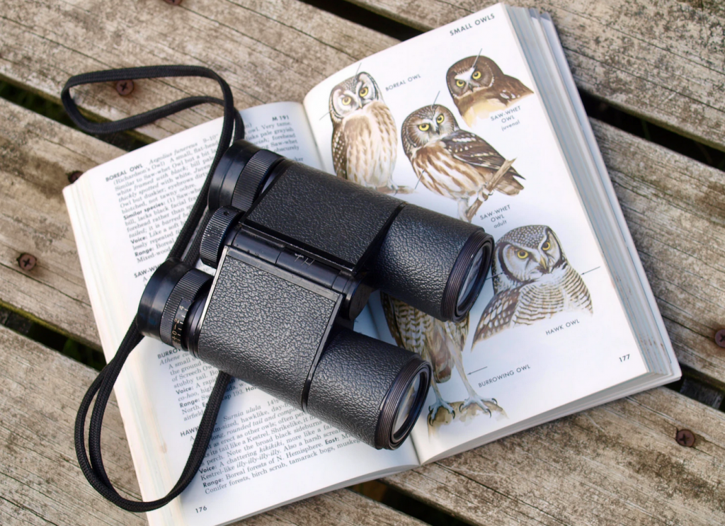 Binoculars on top of a bird watching book
