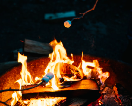 A campfire with toasted marshmallows on sticks