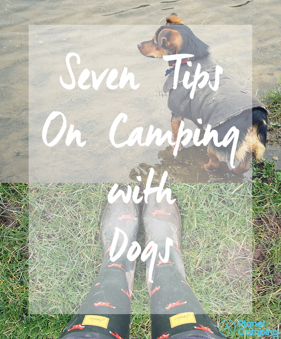 Seven Tips On Camping With Dogs