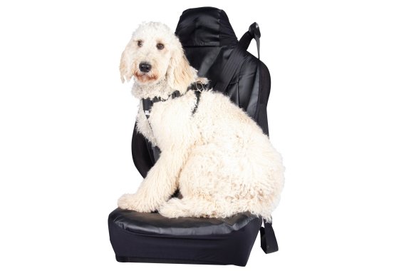 Large Dog Car Harness