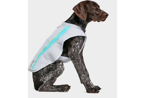 Swamp Coolertm Vest -