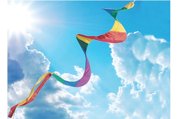 Wind Twister Windsock 200cm long