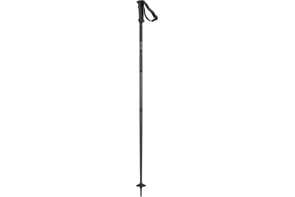 Salomon Arctic Ski Poles 2021