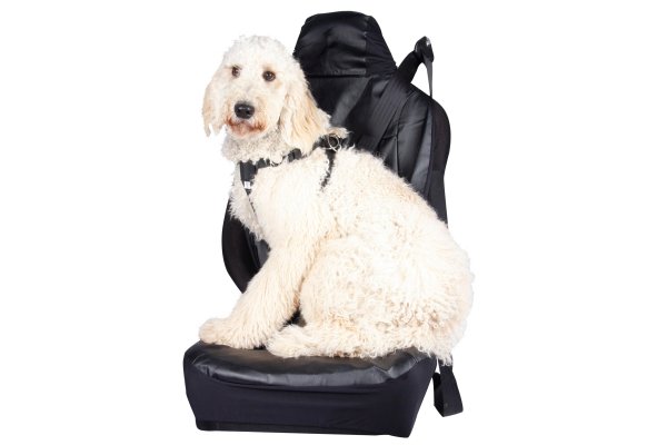 Large Dog Car Harness