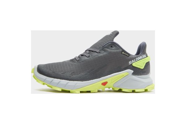 Salomon Men's Alphacross 4 Gore-Tex Trail Running Shoe, Grey