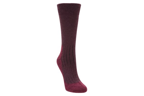 Explorer Womens Merino Thermal Mid-Calf Socks - Pink