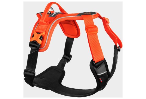Ramble Harness, Black/Orange