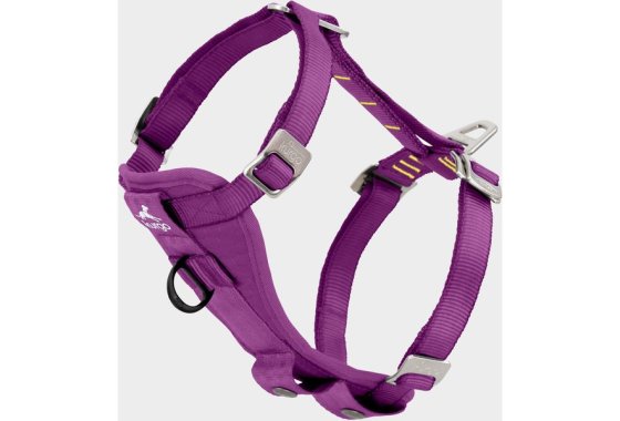 Tru-Fit Smart Dog Walking Harness, Purple