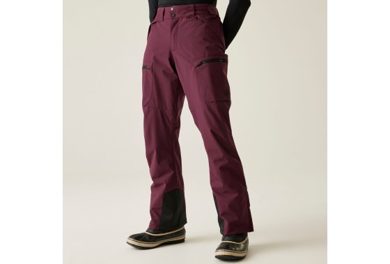 Dare 2b Men's Baseplate II Ski Pants Fig