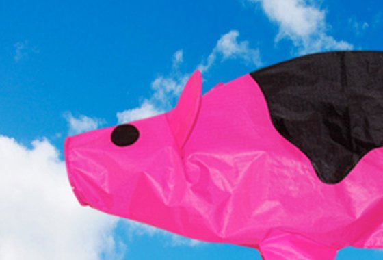 Flying Pig Windsock