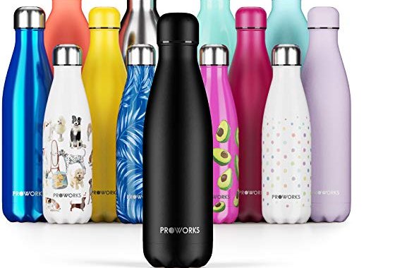 Proworks Performance Stainless Steel Sports Water Bottle | D