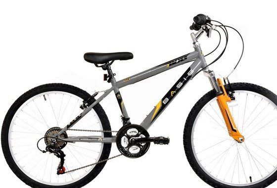 Basis Bolt Boys Hardtail Mountain Bike, 24in Wheel, 18 Speed