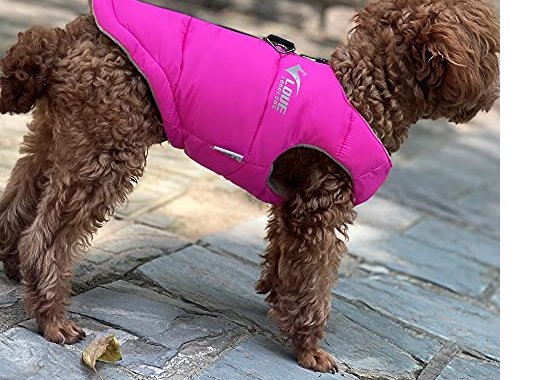 Dog Winter Jacket, Waterproof Windproof Dog Winter Vest Supe