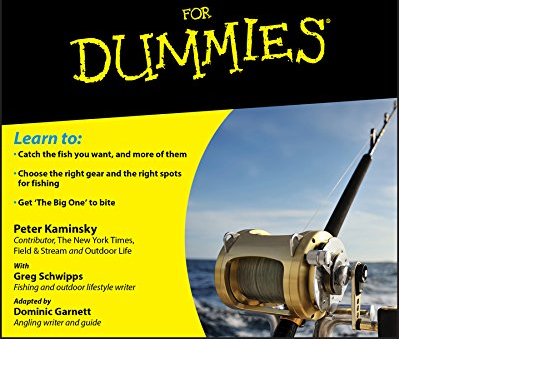 Fishing For Dummies (UK Edition)