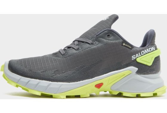 Salomon Men's Alphacross 4 Gore-Tex Trail Running Shoe, Grey