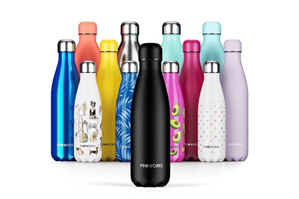 Proworks Performance Stainless Steel Sports Water Bottle | D