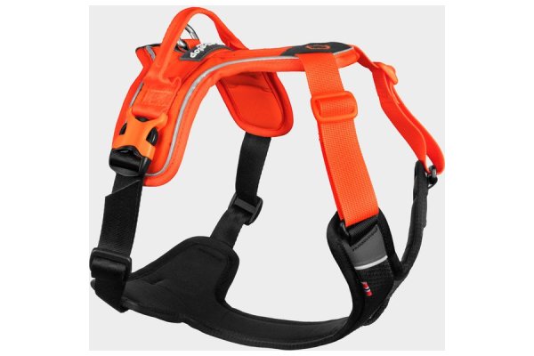 Ramble Harness, Black/Orange